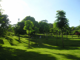 莲花山公园